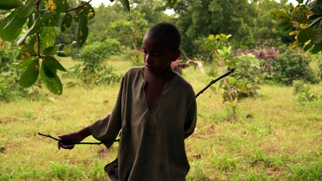 Bande-annonce // Boli Bana de Simon Coulibaly Gillard [Compétition Internationale Premiers Films]