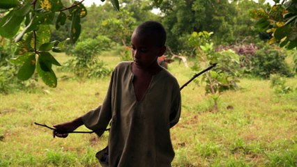 Bande-annonce // Boli Bana de Simon Coulibaly Gillard [Compétition Internationale Premiers Films]