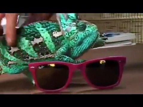 خدا کی قدرت کا ایک چھوٹا سا کرشمہ دیکھیں ایک منٹ پچاس سکنڈ کی اس وڈیو میں گورگٹ کتنے رنگ تبدیل کرتا ہے