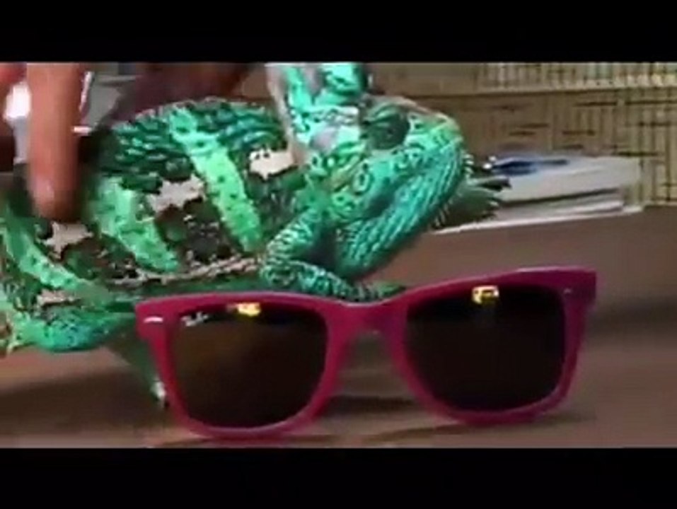 خدا کی قدرت کا ایک چھوٹا سا کرشمہ دیکھیں ایک منٹ پچاس سکنڈ کی اس  وڈیو میں گورگٹ کتنے رنگ تبدیل کرتا ہے