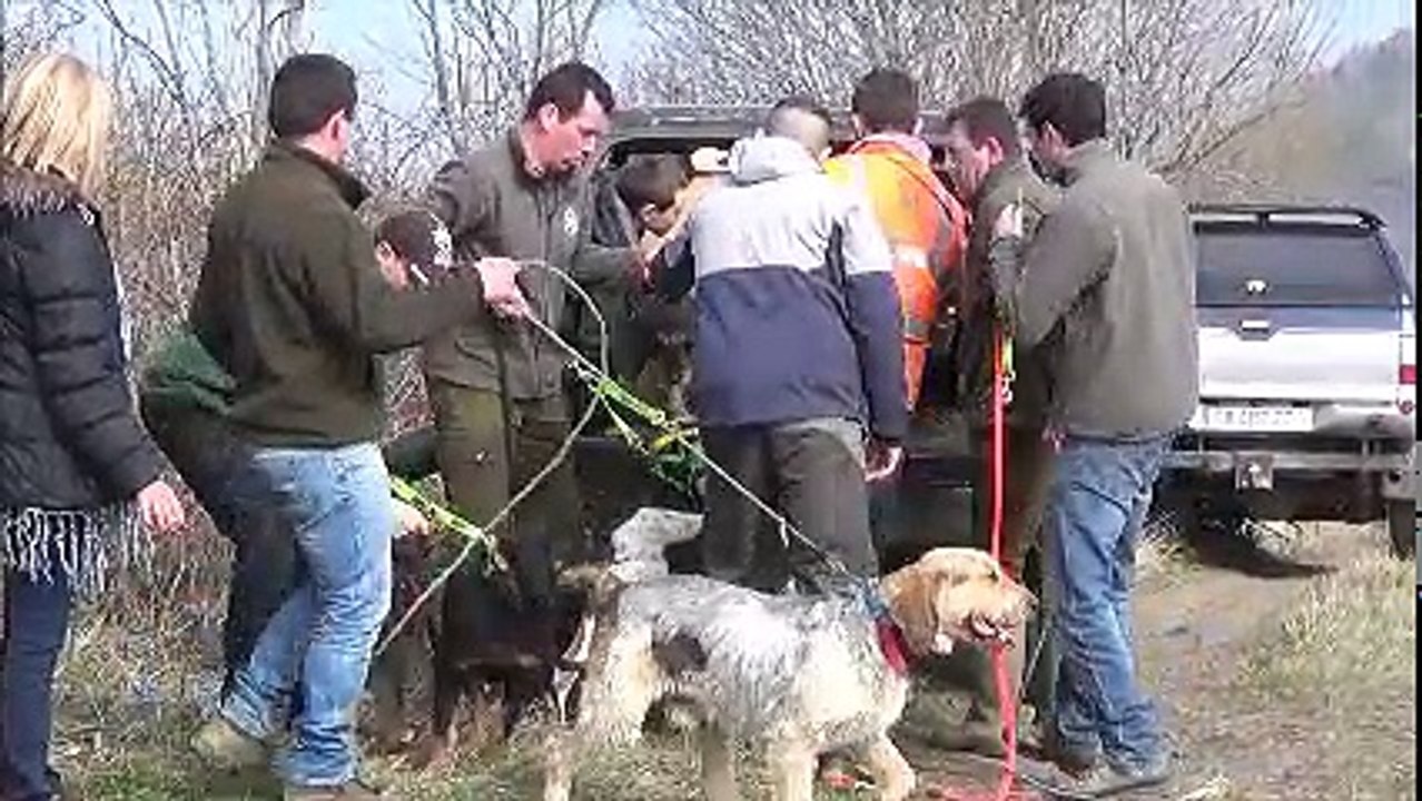 démonstration de chasse au sanglier 2017 à Chassagne