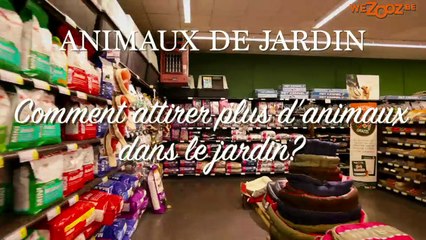 Comment attirer plus d'animaux dans mon jardin?
