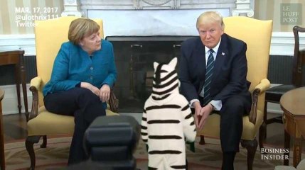 Les anti-Trump ont retrouvé le sourire grâce à ce zèbre