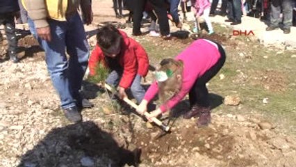 Denizli Minikler Fidan Dikip Can Suyu Verdi