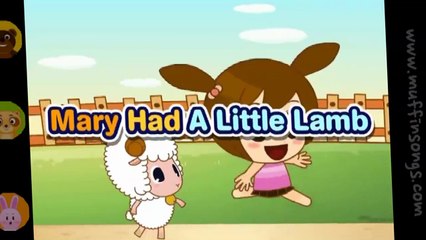 Baby Bao Panda | Mary Had A Little Lamb | Nursery Rhymes | Kids Songs | Children Rhymes