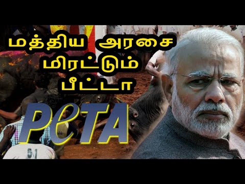 மத்திய அரசுக்கு பீட்டா கடிதம் | PETA's letter to central govt regarding Jallikattu- Oneindia Tamil