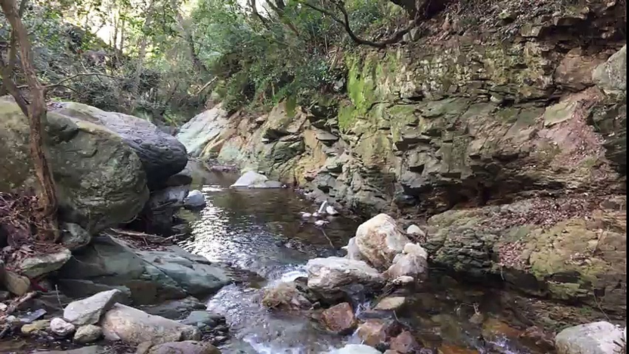 È dicenu chì Lupinu hè goffu...