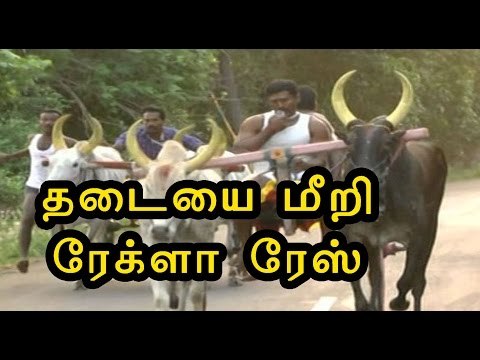 கோவை அருகே ரேக்ளா ரேஸ் | Villagers conducted Rekla race- Oneindia Tamil