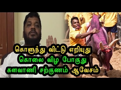 இயக்குனர் சற்குணம் ஜல்லிக்கட்டு வீடியோ | Sarkunam speech about Jallikattu.- Oneindia Tamil