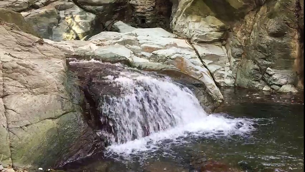 È dicenu chì Lupinu hè goffu...