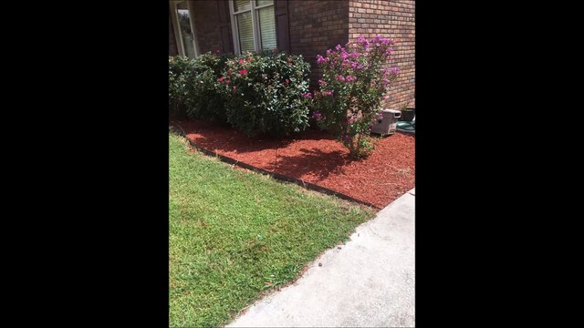 Cody's Landscaping & Firewood - (256) 527-2527