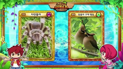 정글에서 살아남기 43~44화 크로우드의 정체 & 부활한 타이더!