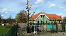 Op kraamvisite - zes schaapjes geboren op kinderboerderij 'de Trotse Pauw' / Spijkenisse 2017