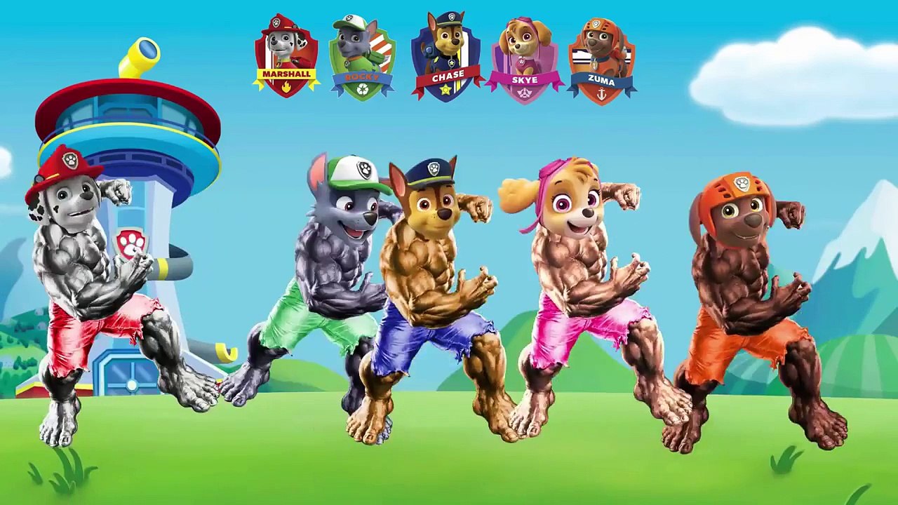 Paw Patrol Superhero Character Spiderman Superman Hulk Finger Family Nursery Rhymes Lyrics