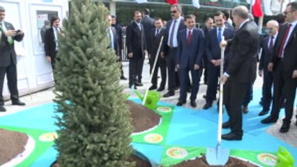 Cumhurbaşkanı Erdoğan, Ağaç Dikti