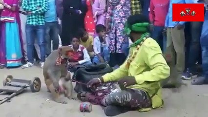 FUNNY MONKEY TRAINER STREET SHOW IN INDIA
