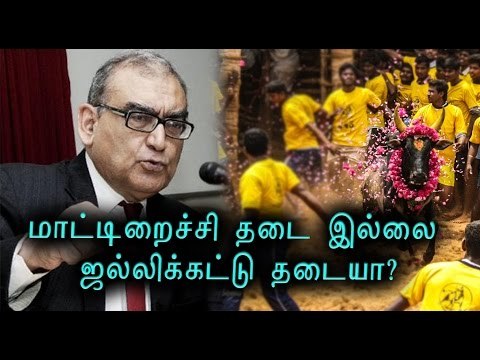 ஜல்லிக்கட்டு தேவை- கட்ஜு | Katju supports Jallikattu - Oneindia Tamil