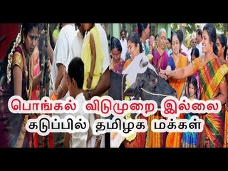 பொங்கல் விடுமுறை இல்லை | No holiday to Pongal festival- Oneindia Tamil
