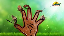 Animals Finger Family Rhymes Collection | 3D Animation Animals Nursery Rhymes Collection