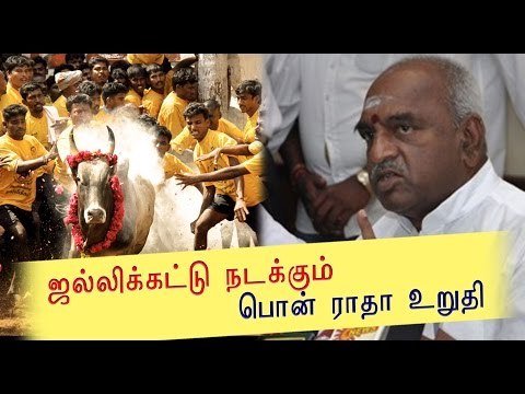 ஜல்லிக்கட்டு வேண்டி போராட்டம் Fasting protest at delhi for the conduct of Jallikattu- Oneindia Tamil