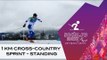 Semi-finals/Finals: Men's / women's 1km sprint freestyle | Cross-country skiing | Sochi 2014