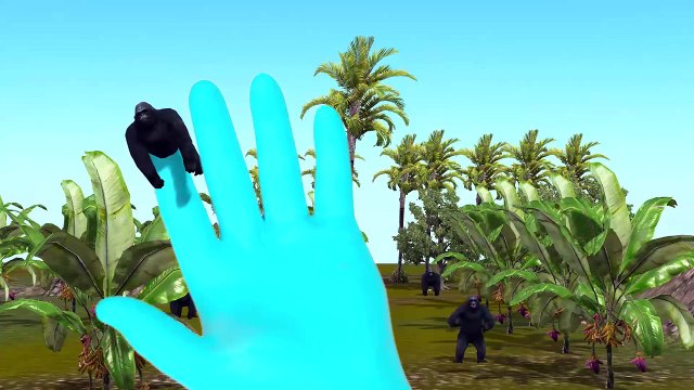 Kids Nursery Rhymes | Animals Finger Family Rhyme | Gorilla Finger Family | Daddy Finger F