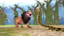 Lion Attacks Animals Compilation | colors Lion Attacks Tiger Elephant Buffalo Cartoon Vide