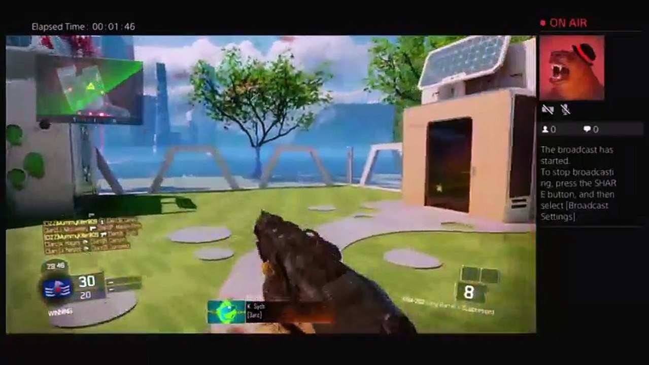 Trying to get 500 kills with pistel duel wield (2)