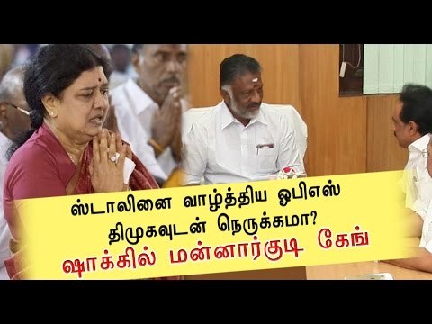 ஸ்டாலினுக்கு முதல்வர் ஓபிஎஸ் வாழ்த்து | CM OPS wishes MK Stalin- Oneindia Tamil