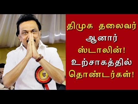 திமுக செயல் தலைவர் ஸ்டாலின் | MK Stalin appointed as President of party- Oneindia Tamil