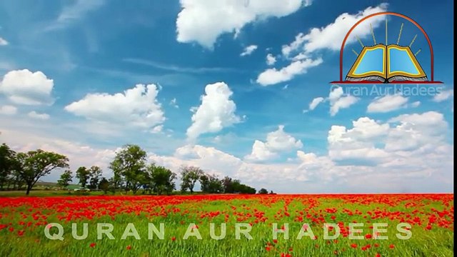 The (Shahadat) Martyrdom Story of Hazrat Ali Razi Allah Tala Anhu in Urdu