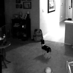 Mom Trips Over Baby Gate