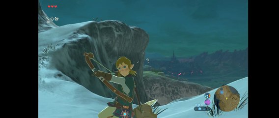 The Legend of Zelda: Breath of the Wild - surfing + bow