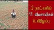 11 விவசாயிகள் உயிரிழப்பு 11 farmers have died  - Oneindia Tamil