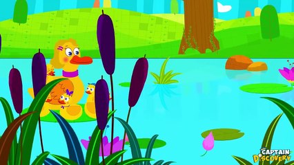 Twinkle Twinkle Little Star | Lullaby | Lullabies for Babies by Captain Discovery