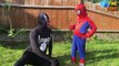 Spiderman vs Venom Arm Wrestling challenge! Marvel Superheroes Full Fight in Real Life!