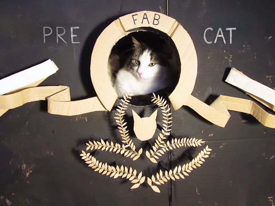 DIY - The Cat Ark