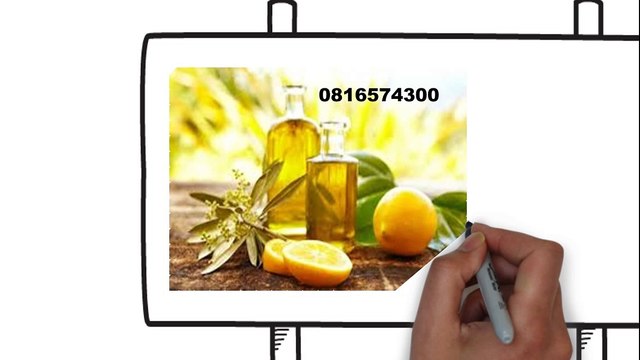 081-657-4300 (Indosat) Jual Minyak Zaitun Jayapura