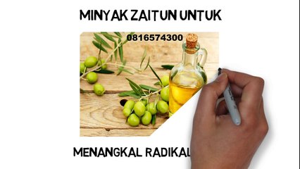 081-657-4300 (Indosat) Jual Minyak Zaitun Riau
