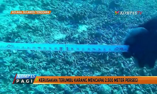 Kapal Tanker Kandas, Terumbu Karang Kolaka Rusak