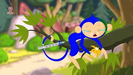 Videos for Children | Chameleon for Kids (Educational Video)