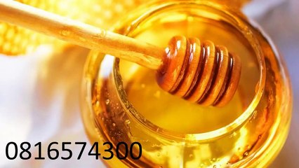 0816574300 Jual Madu Anak Manokwari