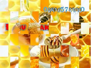 0816574300 (Indosat ) Distributor Madu Anak Tapin