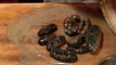 The Japanese way of processing sea cucumber