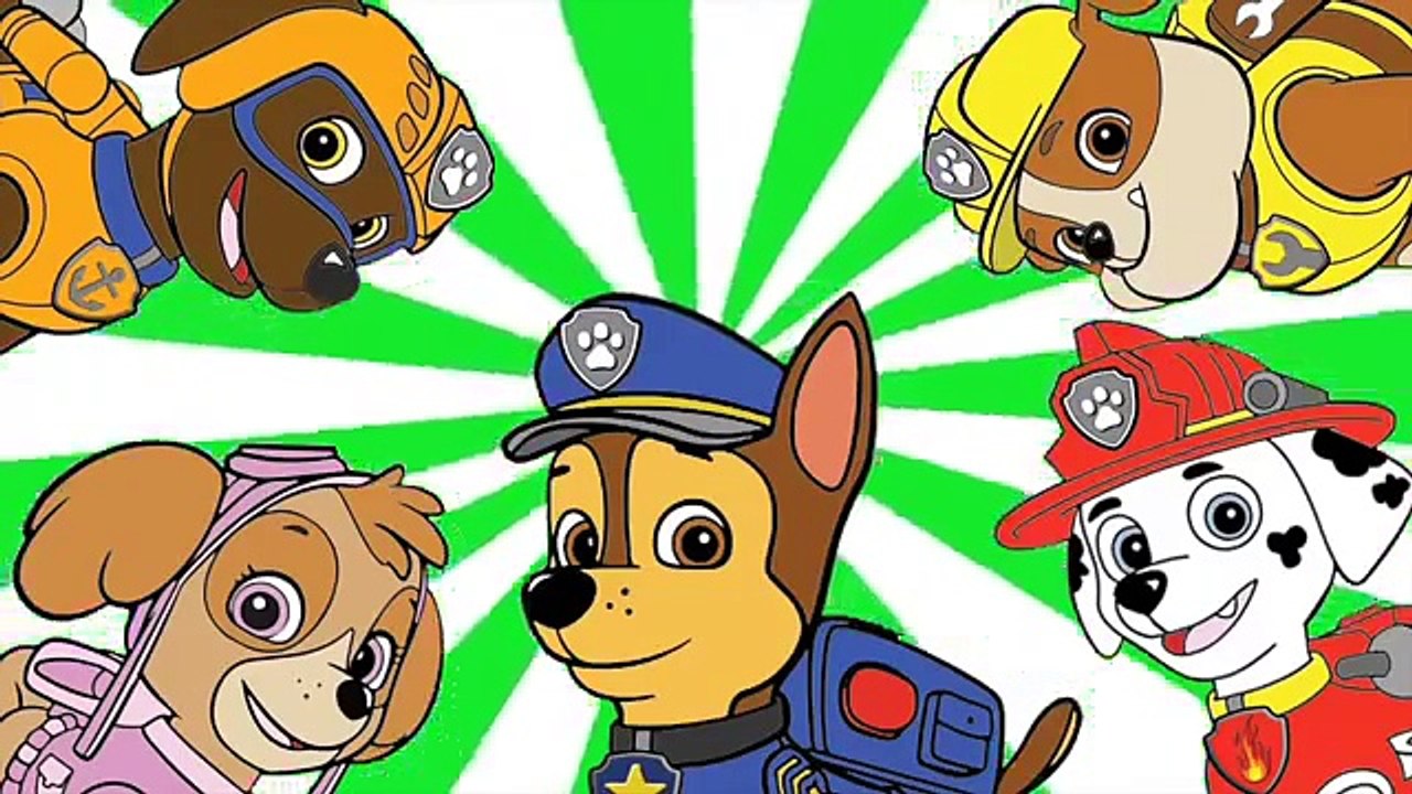Paw patrol Zuma finger family nursery Rhymes | Daddy finger pups song for kids