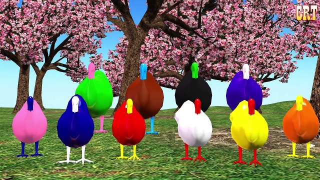 Цвет сборник для Дети обучение питомник Кролик рифмы Песня Colourfull ||