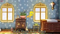 Finger Family Tom and Jerry | Finger Family Cat | Nursery Rhymes Babies and Toddlers