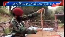 pak ssg eating snake and birds top news ( 360 X 640 )