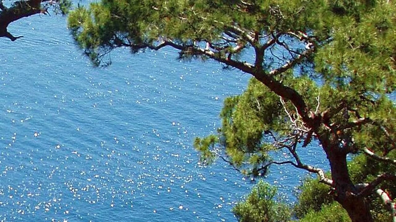Capri Island Tourism