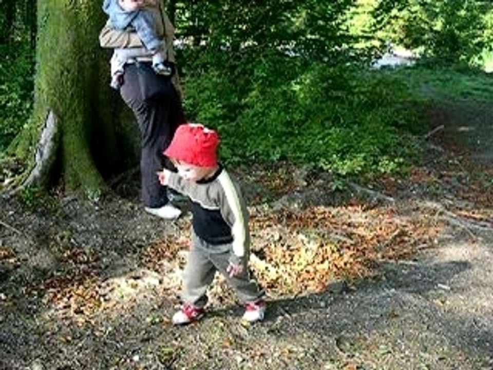 Ballade au bois